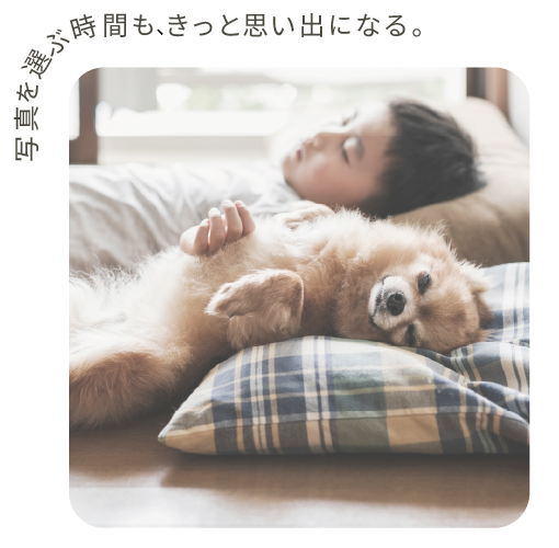 写真を選ぶ時間も、きっと思い出になる。